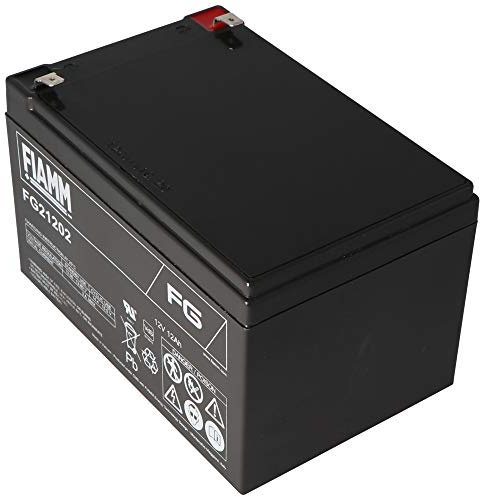 Fiamm FG21202 batteri 12Ah