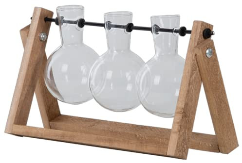 Esschert Design Steckling Vasen L zum Aufhängen Holz Gestell Glas Tisch Aufzucht Ständer Blumen