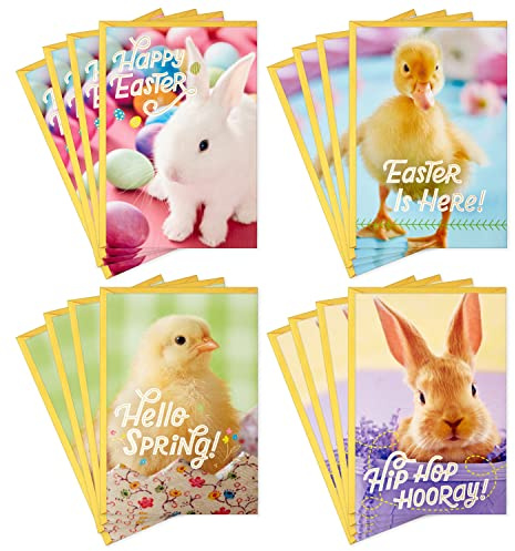 Hallmark Easter Cards Assortment, Bunnies and Chicks (16 Cards with Envelopes)