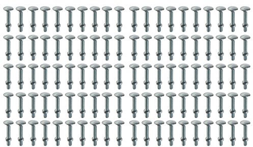 M6 x 40mm Cup Square Bolt & Hex Nut - 100 Pack