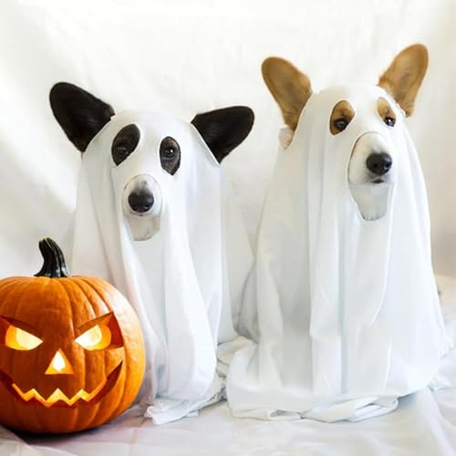 Halloween spöke hund kostym, husdjur halloween spöke mantel, hundkläder läskig klädsel, husdjurstillbehör för promenad firanden valp kattunge utomhusfest