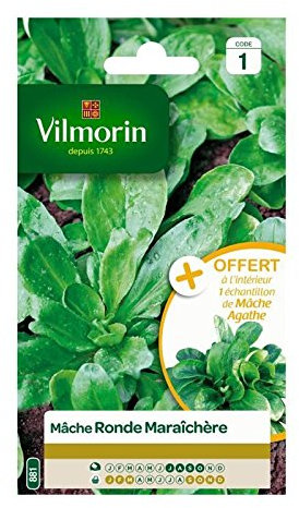 Vilmorin - Mâche ronde maraichere