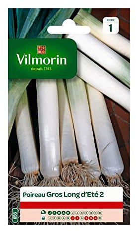 Poireau Gros Long D'Eté