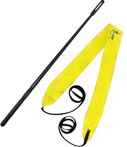 Maxmoral Kit de nettoyage de flûte, nettoyeur de flûte, chiffon de polissage pour flûte, tige de nettoyage et chiffon, chiffon de nettoyage pour saxophone, clarinette et instrument à vent
