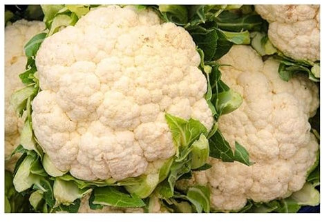 Pcs - 15x Chou-Fleur Fremont F1 Légumes Jardin Plantes - Graines KS170 - Seeds & Plants Shop by Ipsa