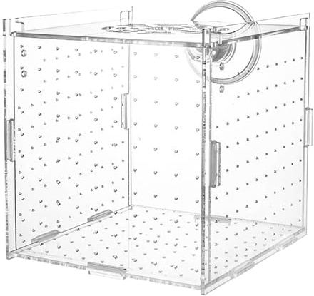 Incubatrice Per L'allevamento Di Pesci - Scatola Divisoria Trasparente Per Acquario, Contenitore Per L'incubatoio Degli Avannotti, Supporto Per Allevatore Durevole | Accessorio Per Acquario Per Lo Svi