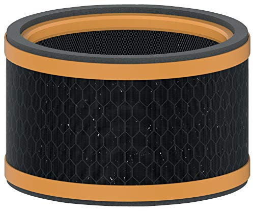 Leitz TruSens Filtro ai Carboni Attivi per Purificatore d'Aria Leitz Z-1000, Rimuove Odori e COV (Composti Organici Volatili), 16,95 cm x 8,32 cm