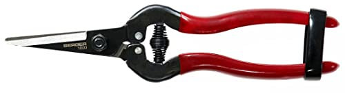 BERGER Traubenschere 1600 | filigrane Ernte- und Trimmschere | Gartenschere mit Elastikverschluss & Kälteschutz-Griff | Ergonomische Rebschere | Für Grünschnitt, Obsternte, Floristik, Kräuter