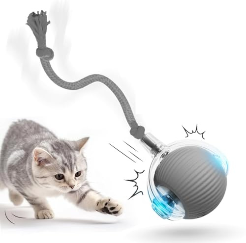 Mittokonnel Jouet interactif pour chat - Balle électrique - Avec USB - Évite les obstacles - Jouet électrique pour chat - Gris