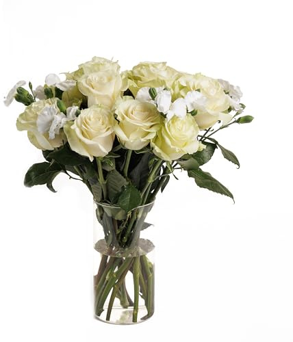 Epicflowers Pure Grace Duo Fresh Cut Flower Bouquets, 24 White Roses and 8 White Solomios, 2 Bouquets, No Vase Included, Wedding, Sympathy, Anniversary, Thank You