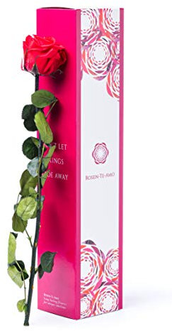 Rosen-Te-Amo | Regalo Festa della Mamma| Rosa stabilizzata vera profumata a stelo lungo e biglietto auguri in scatola regalo | idea Regalo San Valentino, Natale, compleanno | Rosa eterna Regalo Donna