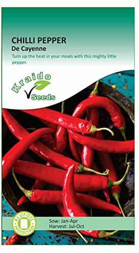 Chilli Spicy Hot Pepper Seeds Cayenne 50 Seeds Capsicum Annuum Grow Your Own Vegetable Ideal for Greenhouse or Garden Growing in Raised Beds Polytunnel Growbag or in Large Pots and Containers