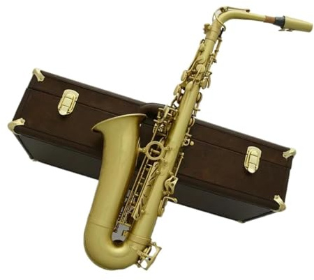 Professionell Saxofon Professionell Borstad Mässings altsaxofon I Eb stil Med Fodral