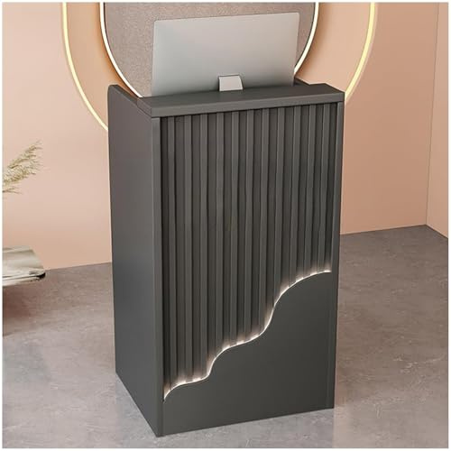 WPJBDS Modern Reception Desk with LED Lights, Small Front Desk Reception Counter Table, Retail Counter Reception Desk for Salon Lobby Clothing Shop Hotel Checkout Office,E,60cm/23.6inch