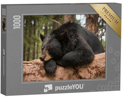 puzzleYOU: Puzzle 1000 Teile „Fauler Bär auf einem Baumstamm“ – aus der Puzzle-Kollektion Bären, Tiere in Wald & Gebirge