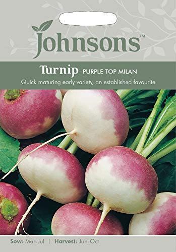Johnsons Seeds - Pictorial Pack - Vegetable - Turnip Purple Top Milan - 1750 Seeds