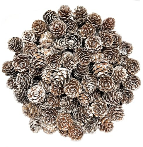 POTWPOT 100Pcs Christmas Pinecones, Christmas Snow Pine Cones Natural Pine Cones Miniature Pine Cones Small Pinecones for Christmas Party Ornament DIY Crafts Home Winter Decoration(1-2cm)