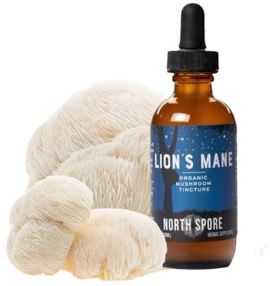 North Spore Organic Lion's Mane Mushroom Tincture (2 oz) | 100% Fruiting Body Extracts | for Focus, Memory, Brain Support | Certified Organic, Vegan, Non-GMO | Adaptogenic, Nootropic | Made in USA