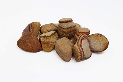 Kieselsteine Dekosteine Sandstein 20kg von Aquagart I 30-50mm Große Kieselsteine Flusskiesel Deko-Steine für Garten I Gartenteich Steine Teichkies Zierkies Gartenkies Ziersteine