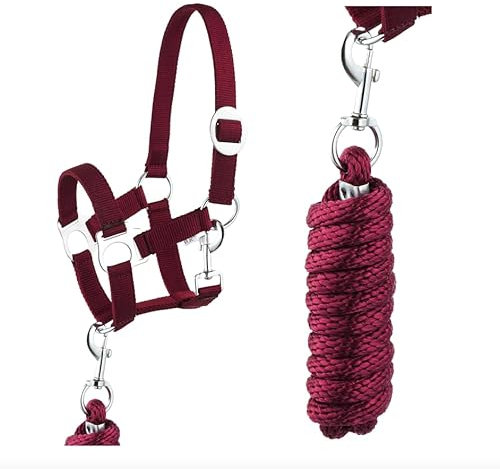 Halfter Führstrick Set mit Karabinerhaken verstellbar Pferdehalfter Pferd Holzpferd Anbindestrick (Karabinerhaken Wein, Pony)