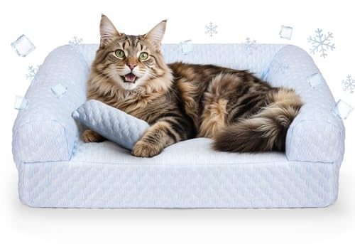 Foamio Cat Bed, Cat Beds for Indoor Cats, Summer Cooling Pet Sofa Bed, Washable Medium Pet Bed for Puppy and Small to Large Kitten with Anti-Slip Bottom, Fits Up to 65lbs Pets