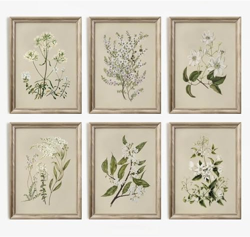 Vintage Botanical Wall Art Set of 6 Neutral Floral Canvas Wall Decor Wildflower Wall Art Watercolor Flower Prints Botanical Poster Minimalist Plant Pictures for Bedroom Living Room 12x16 Inch Unframed
