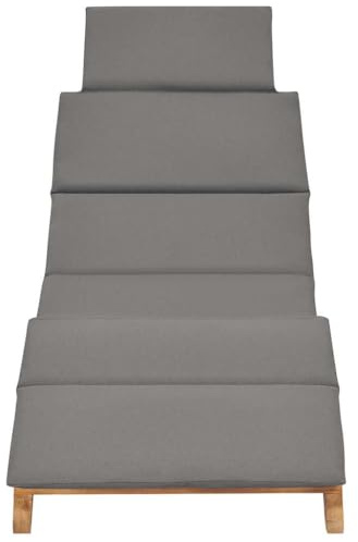 Generico Lettino Prendisole Pieghevole con Cuscino Grigio Scuro in Teak,Mobili,Mobili da Giardino,Mobili e sedie da Giardino,Sdraio da Giardino,Grigio,12.25 kg,310668