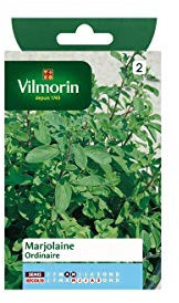 Vilmorin - Sachet graines Marjolaine ordinaire