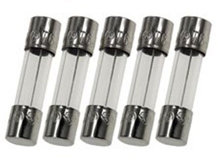 250mA (0.25A) GMA Fast-Blow Glass Fuses, 5x20mm, 250V, Replacement 5 Pack