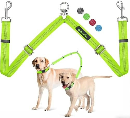 Brilliant Paw Double Dog Leash, Tangle Free & Adjustable, Reflective, Durable Nylon, Green, 1 Width x 29 Length