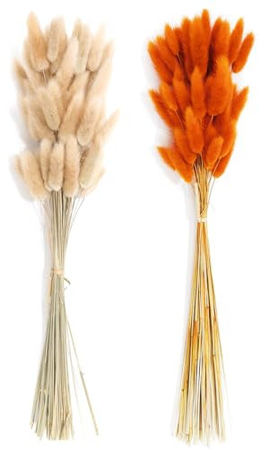 120 Pz Bouquet di Pampas Grass Essiccato, Fiori Essiccati di Bunny Tails,Erba Della Pampas Decorative,Erba di Pampa Essiccata Naturale per Matrimoni,Erba secca di Pampa,Erba della Pmapas Fiori Secchi