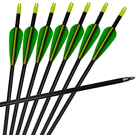 3Z Archery 12pack Arrows Arco de Caza de Aluminio de Tiro con Arco con extremidades Intercambiables 20-60lbs Arco Compuesto y recurvo