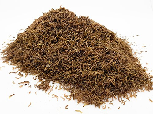 HERONS Freeze Dried Bloodworm Larvae CICHLID DISCUS GOLDFISH BETTA KOI TROPICAL FISH FOOD High protein, natural food for all tropical fish (100 gram)
