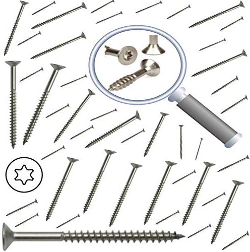 Tornillo terraza inoxidable A2 madera Torx gama Pro 5 x 50 5 x 60 5 x 70 5 x 80 5 x 90 5 x 100