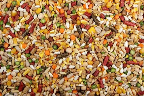 DelightFood Chicken Feed, Whole Ingredient Chicken Treat, Wied Variety of Grains Poultry Feed (10 Pound (Pack of 1), High-Octain (High Protein) with Cracked Corn)
