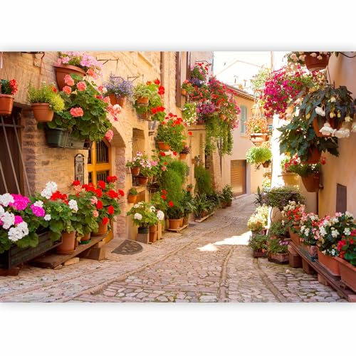 Fototapete murando 350x256 cm Vlies Tapeten Wandtapete XXL Moderne Wanddeko Design Wand Dekoration Wohnzimmer Schlafzimmer Büro Flur Italien Toskana Gasse Stadt Ziegel Blumen d-B-0136-a-a
