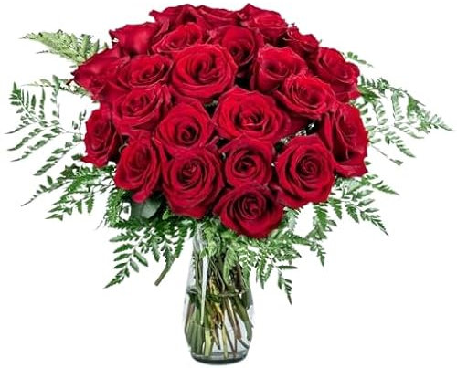 Ramo de Rosas Naturales Color Rojo con 25 Flores en Presentación Premium para Detalles Especiales Rosas Premium
