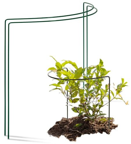 Novatool 2 Strauchstütze halbrund 40 cm Ø50 cm hoch grün Staudenhalter Blumenhalter Rankengewächs Pflanzenstütze Blumenstütze Staudenstütze Rankhilfe Strauchhalter Rosenstütze