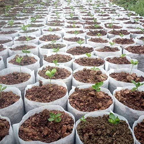 100 Pezzi di Diverse Dimensioni vasi per piantine in Tessuto Non Tessuto biodegradabili Borse per piantare ecologiche Borsa per vivaio Borse per Coltivazione di Piante per Giardino, 32x34 cm
