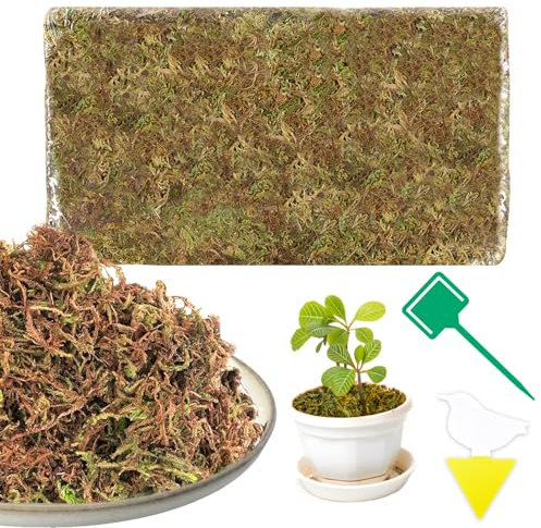200g Sphaigne pour Plante Naturelle Compressé Sphaigne pour Orchidées Mélange pour Pot - pour Orchidées Terrarium Jardin Bonsaïs Reptile Amphibien