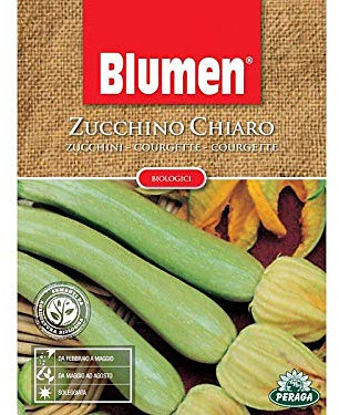 Sementi di Zucchino Chiaro biologici orto giardino semi seeds Blumen