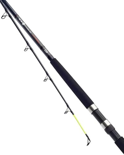 DAIWA D Wave Uptide Sea Fishing Rod 9'6' / 4-10oz - DWU410-BU