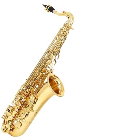 Professionell Saxofon Guldfärgad altsaxofon C tangent för nybörjare levereras med bärbart fodral rörbladsrengöringskit handskar halsrem stativ och tillbehör