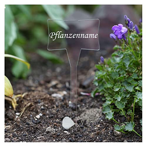 Bütic GmbH Étiquettes pour plantes en verre acrylique - Incolore - Piquet de jardin, étiquettes pour herbes aromatiques - Sélection + nom au choix - Nom de la plante : absinthe