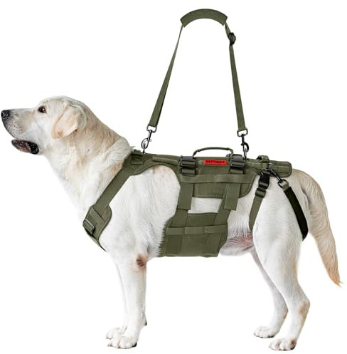 OneTigris Invictus Harnais pour chien - Aide au transport pour chiens de taille moyenne et grande - Réglable - Avec 3 poignées - Pour personnes handicapées, blessées ou âgées - Vert - Taille XL