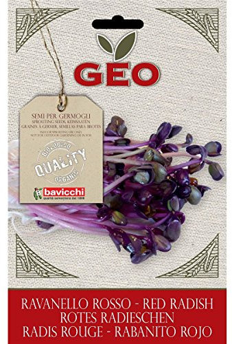 Geo Graine à Germer Radis Rouge Brun 12,7 x 0,7 x 20 cm
