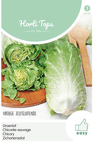 Hortitops 12145 Insalata di cicoria Cappello di zucchero (semi di cicoria)