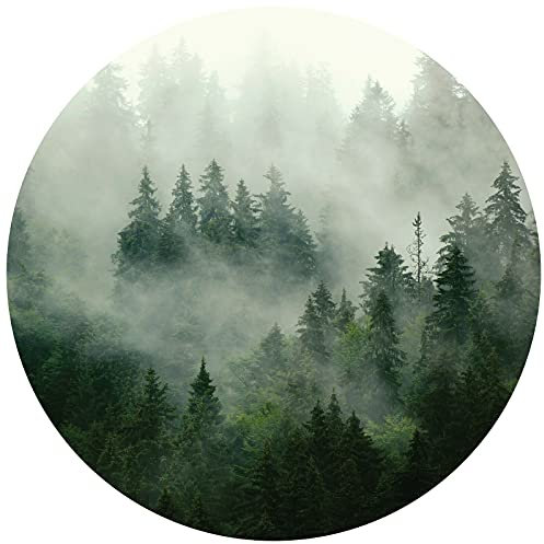 WallArena Vlies Fototapete Rund Wald Nebel Bäume Wohnzimmer Schlafzimmer Wandtapete Tapete inklusiv Kleister UV-Beständig (13026, Ø 182 cm)