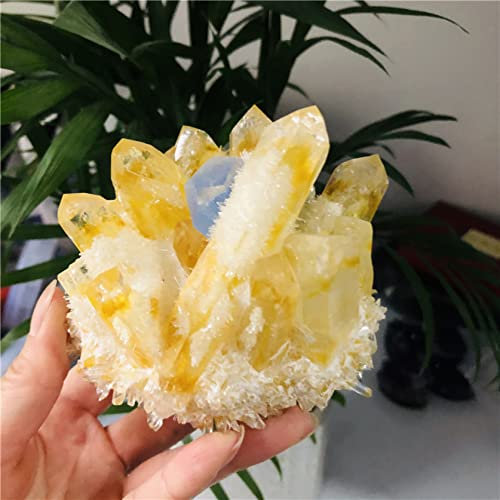 Cristal Naturel Grappe De Cristal Brut Titane Naturel Enduit Citron Jaune Roche Quartz Grappe Pierre Décoration De La Maison Pierre Précieuse Spécimen Anxiété pour ( Color : Gelb , Size : 700-800g )