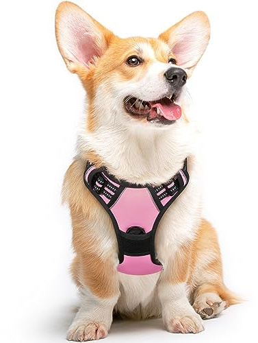 Eagloo Harnais Chien, Harnais Anti Traction pour Chien, Rose, M